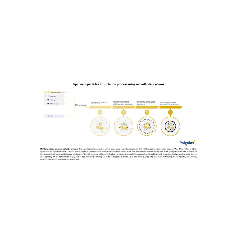 Polyplus-transfection 101000232 LipidBrick