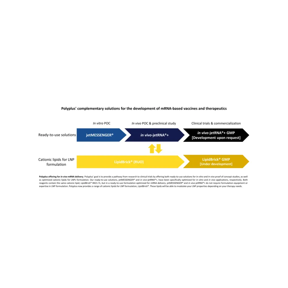 Polyplus-transfection 101000232 LipidBrick