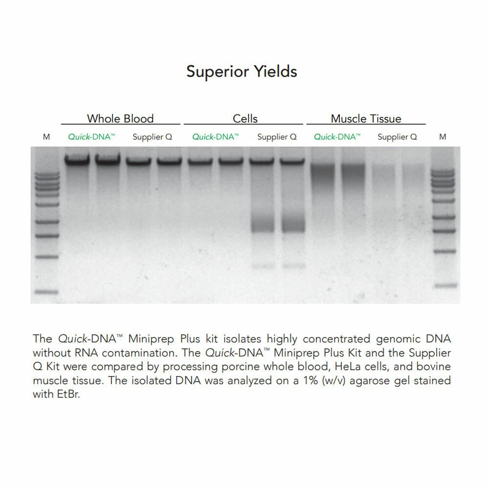 Zymo Research D4069 Quick-DNA Miniprep Plus Kit, Zymo Research, 200 Preps/Unit quaternary image