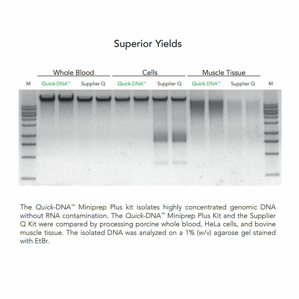 Zymo Research D4070 Quick-DNA