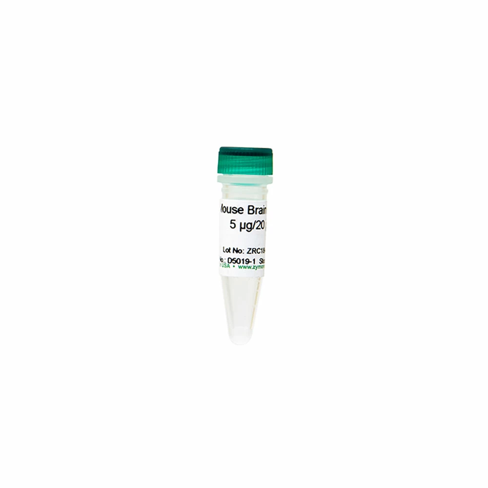 Zymo Research D5019-1 Mouse Brain DNA, Zymo Research, 5 ug/Unit primary image