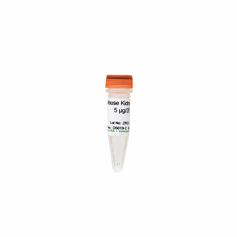 Zymo Research D5019-2 Mouse Kidney DNA, Zymo Research, 5 ug/Unit primary image