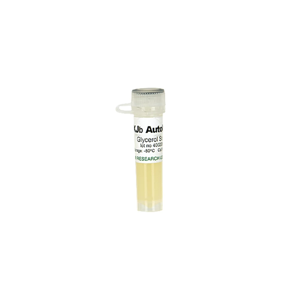 Zymo Research T5041 XJb Autolysis Glycerol Stock, Zymo Research, 1 Tube /Unit primary image