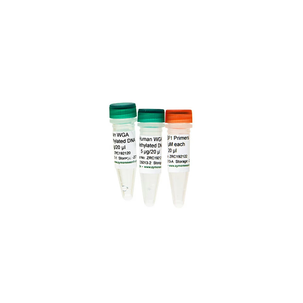 Zymo Research D5013 Human Methylated & Non-Methylated (WGA) DNA Set, Zymo Research, (5