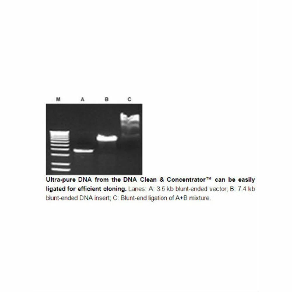 Zymo Research D4032 DNA Clean & Concentrator-500, Zymo Research, 20 Preps/Unit quaternary image