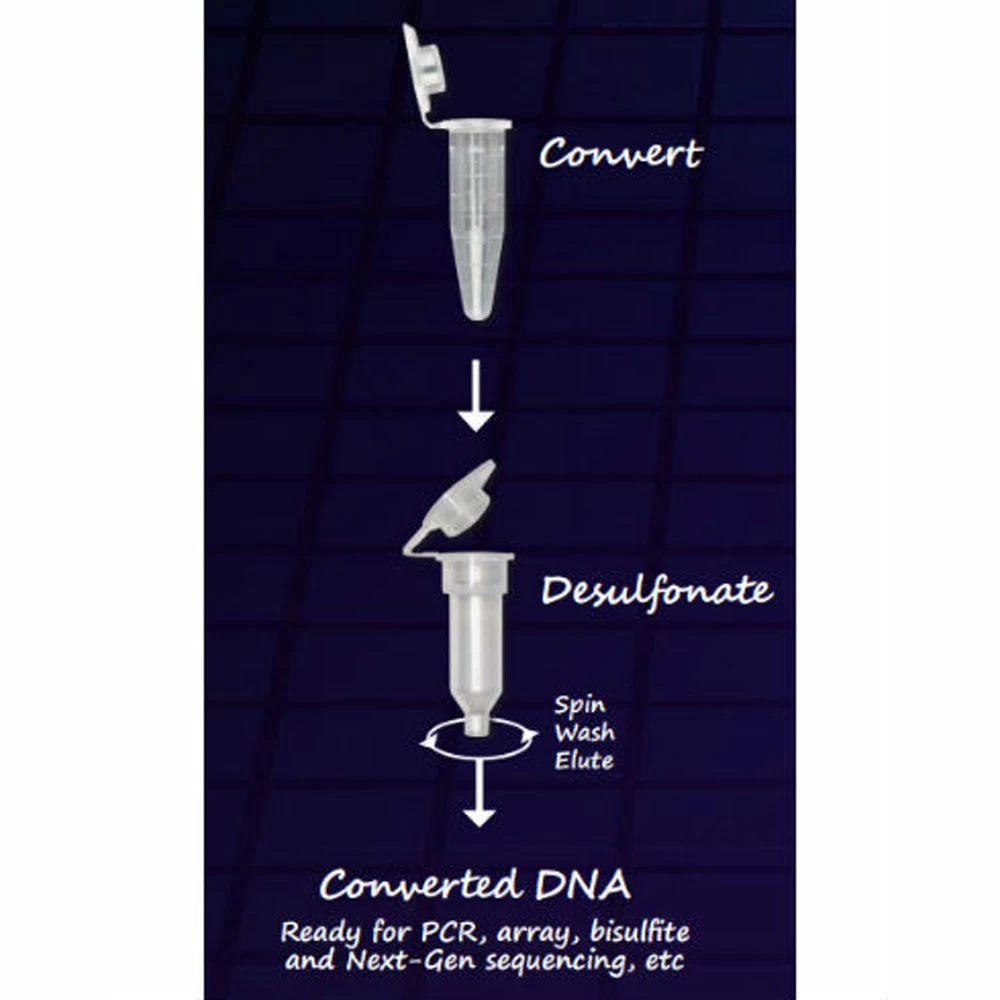 Zymo Research D5032 EZ-96 DNA Methylation-Lightning Kit, Shallow-Well, 2 x 96 Rxns/Unit secondary image