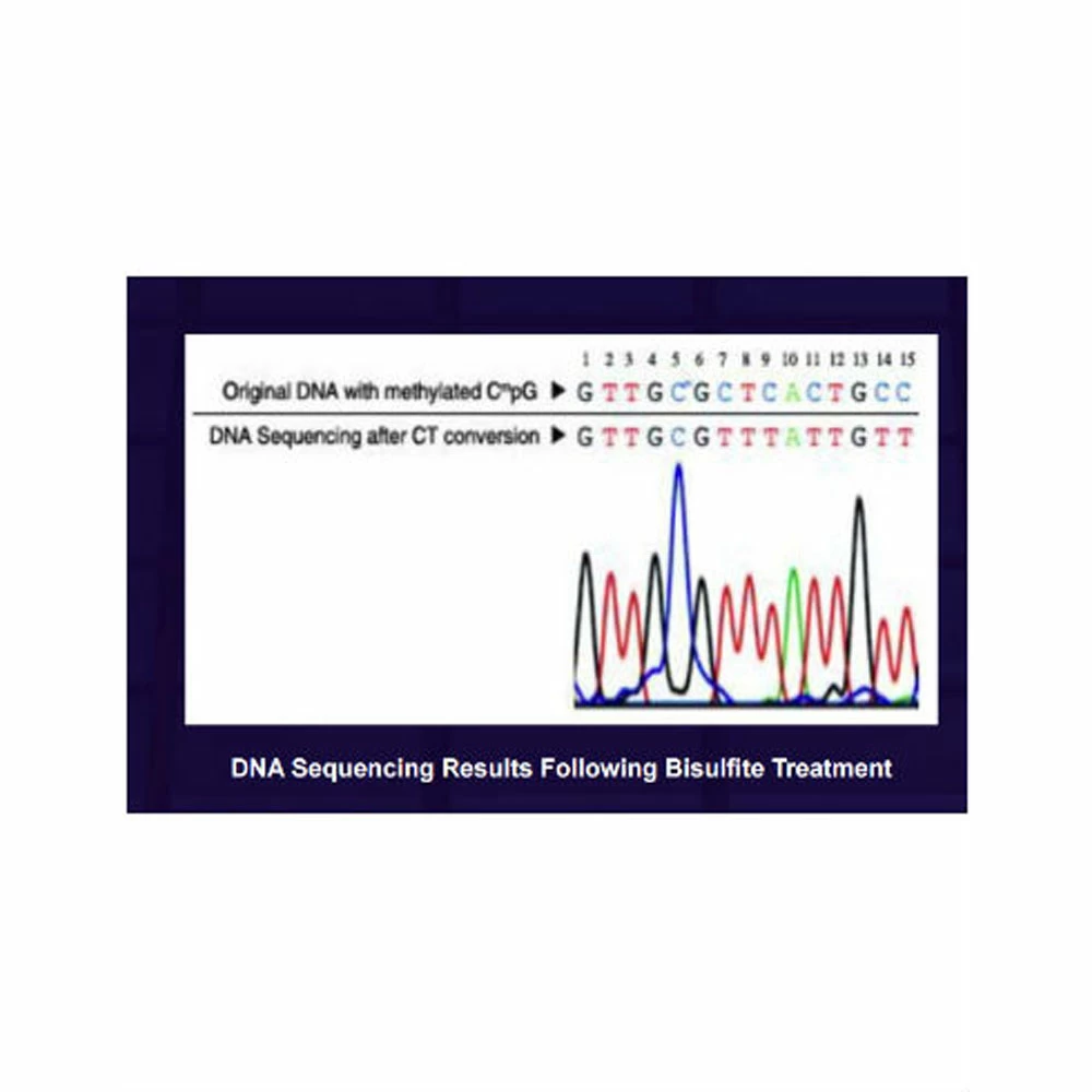 Zymo Research D5030T EZ DNA Methlyation-Lightning Kit, Zymo Research, 10 Rxns/Unit tertiary image