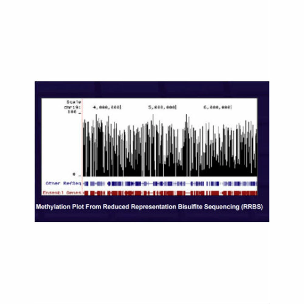 Zymo Research D5031 EZ DNA Methlyation-Lightning Kit, Zymo Research, 200 Rxns/Unit quaternary image