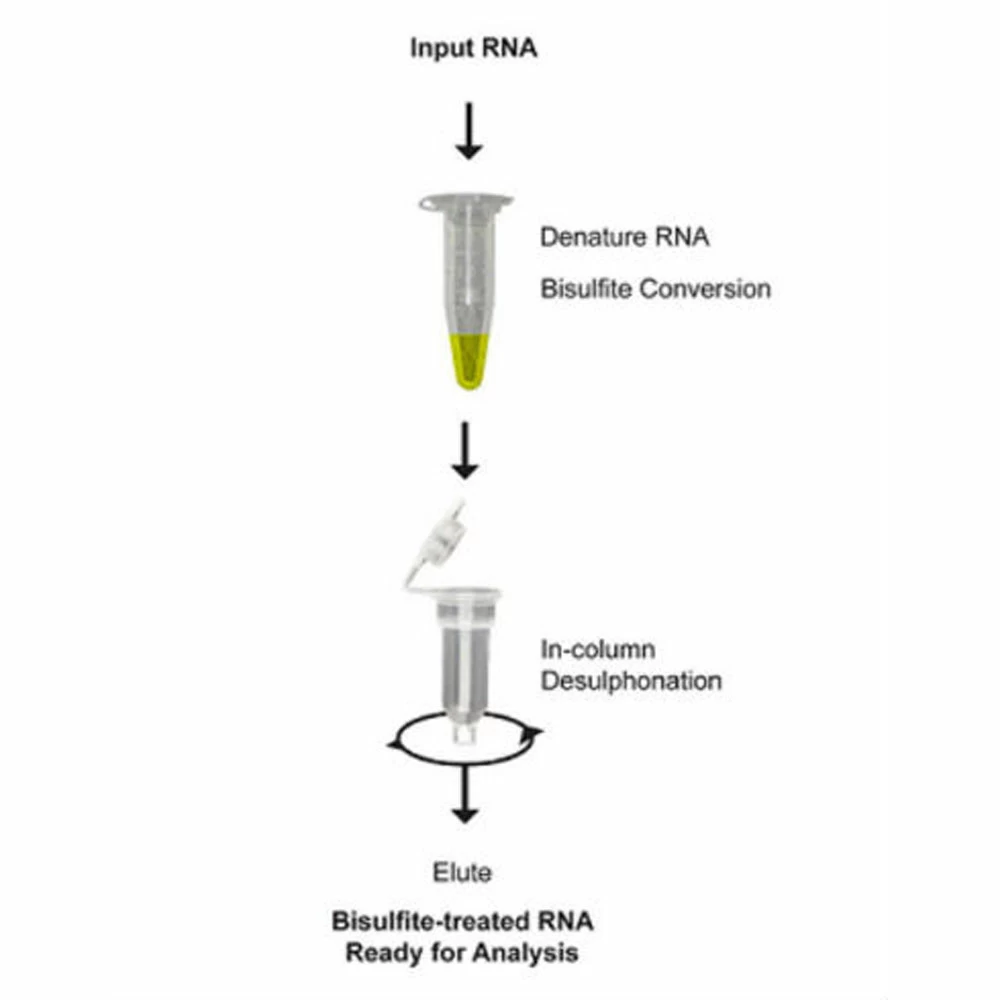 Zymo Research R5001 EZ RNA Methylation Kit, Zymo Research Kit, 50 Preps/Unit secondary image