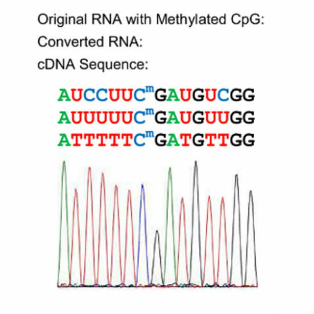 Zymo Research R5002 EZ RNA Methylation Kit, Zymo Research Kit, 200 Preps/Unit tertiary image