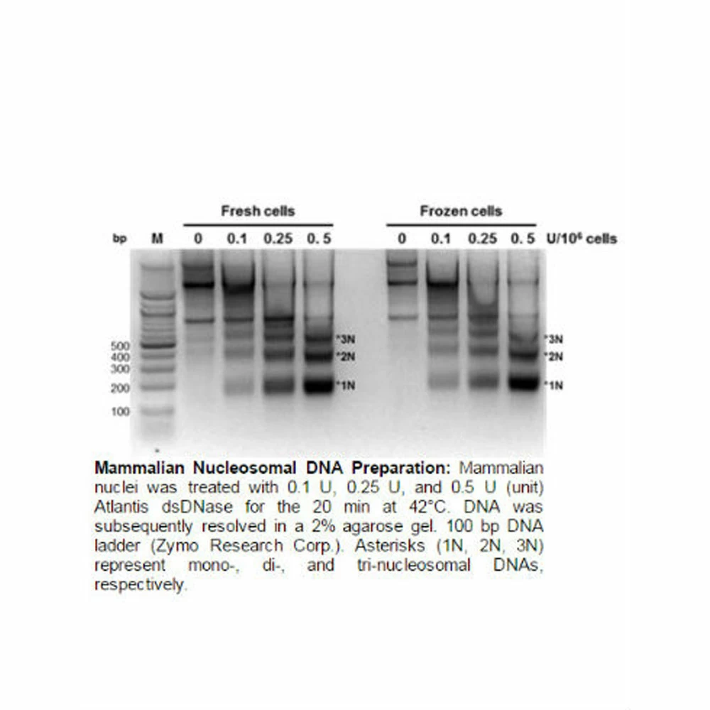 Zymo Research D5220 EZ Nucleosomal DNA Prep Kit, Zymo Research, 20 Preps/Unit tertiary image