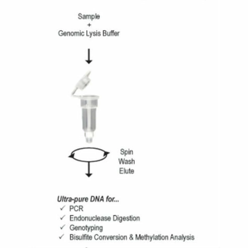 Zymo Research D4075 Quick-DNA MidiPrep Plus Kit, Zymo Research, 25 Preps/Unit tertiary image