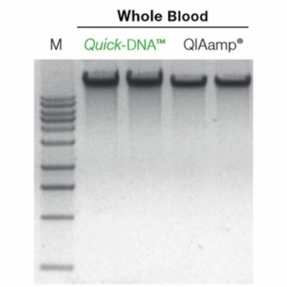 Zymo Research D4082 Quick-DNA Magbead Plus Kit, Zymo Research, 4 x 96 Preps/Unit quaternary image