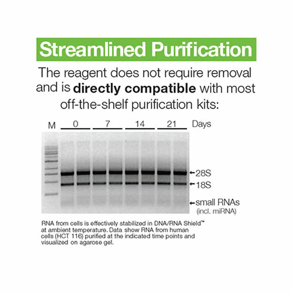 Zymo Research R1100-250 DNA/RNA Shield, Stabilization Reagent, 250ml/Unit quinary image