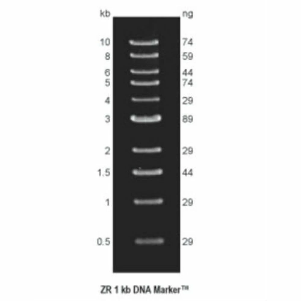 Zymo Research M5006-50 ZR 1 kb DNA Marker ready-to-load, Zymo Research, (50