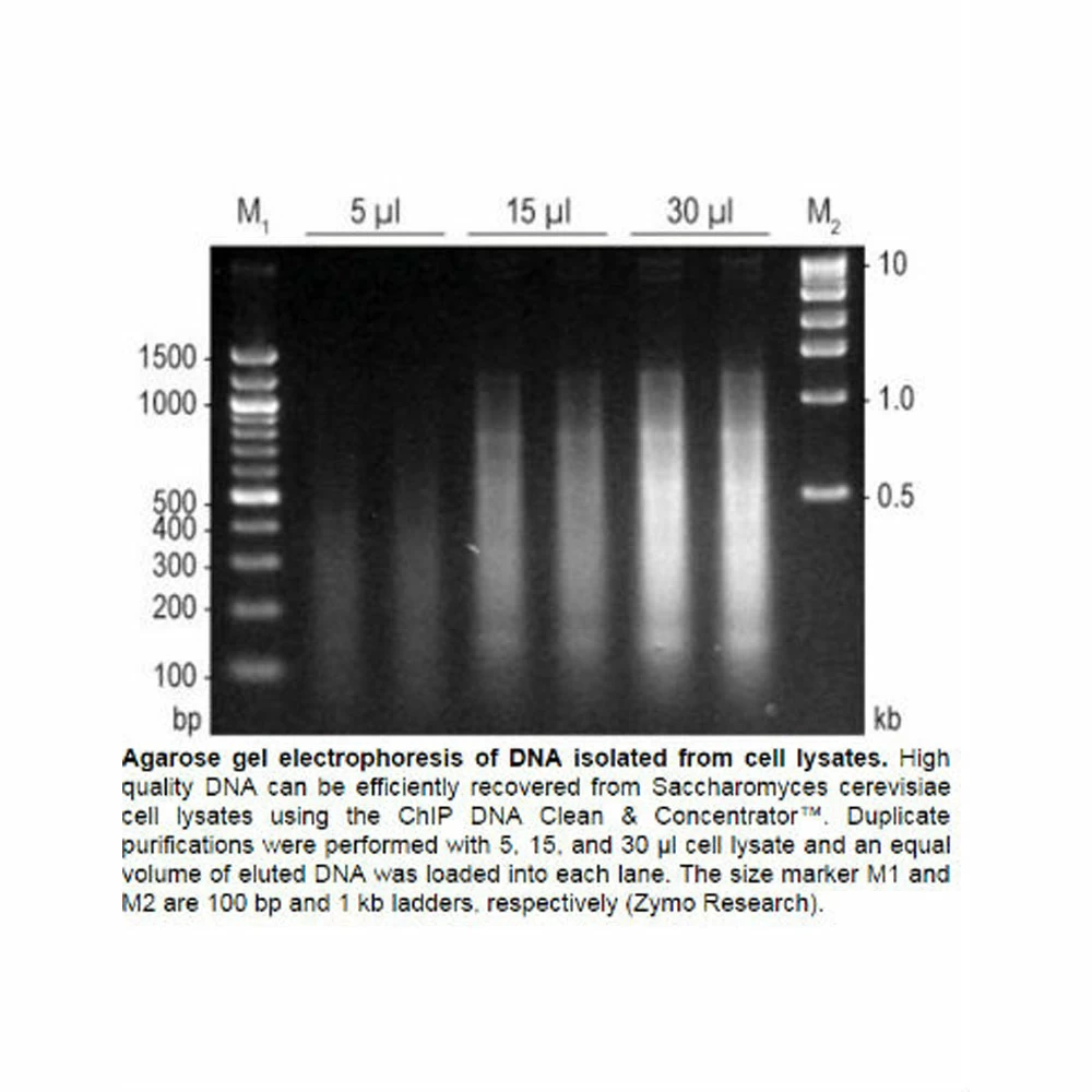 Zymo Research D5201 ChIP DNA Clean & Concentrator Kit, Uncapped Columns, 50 Preps/Unit tertiary image