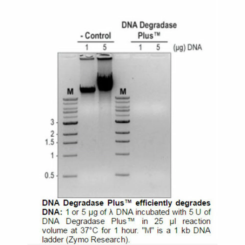 Zymo Research E2020 DNA Degradase Plus, Zymo Research, 250 U/Unit tertiary image