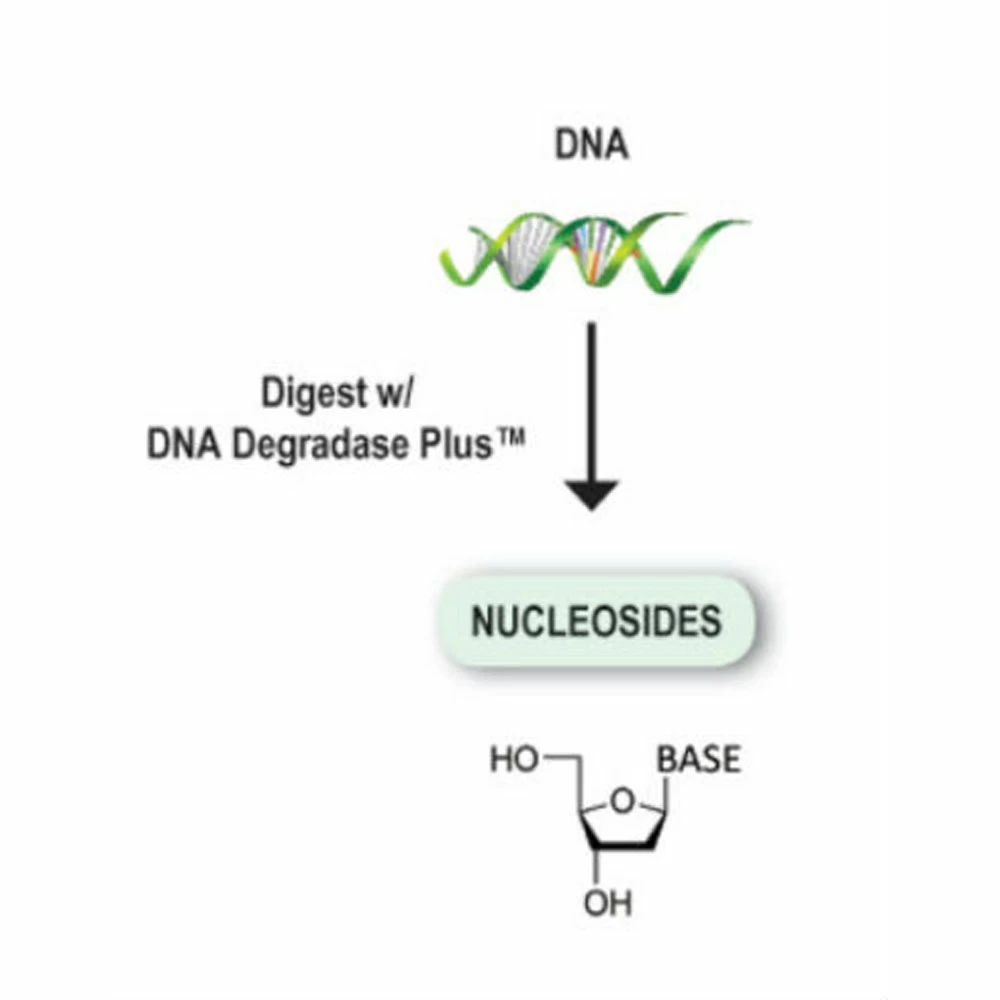 Zymo Research E2020 DNA Degradase Plus, Zymo Research, 250 U/Unit secondary image