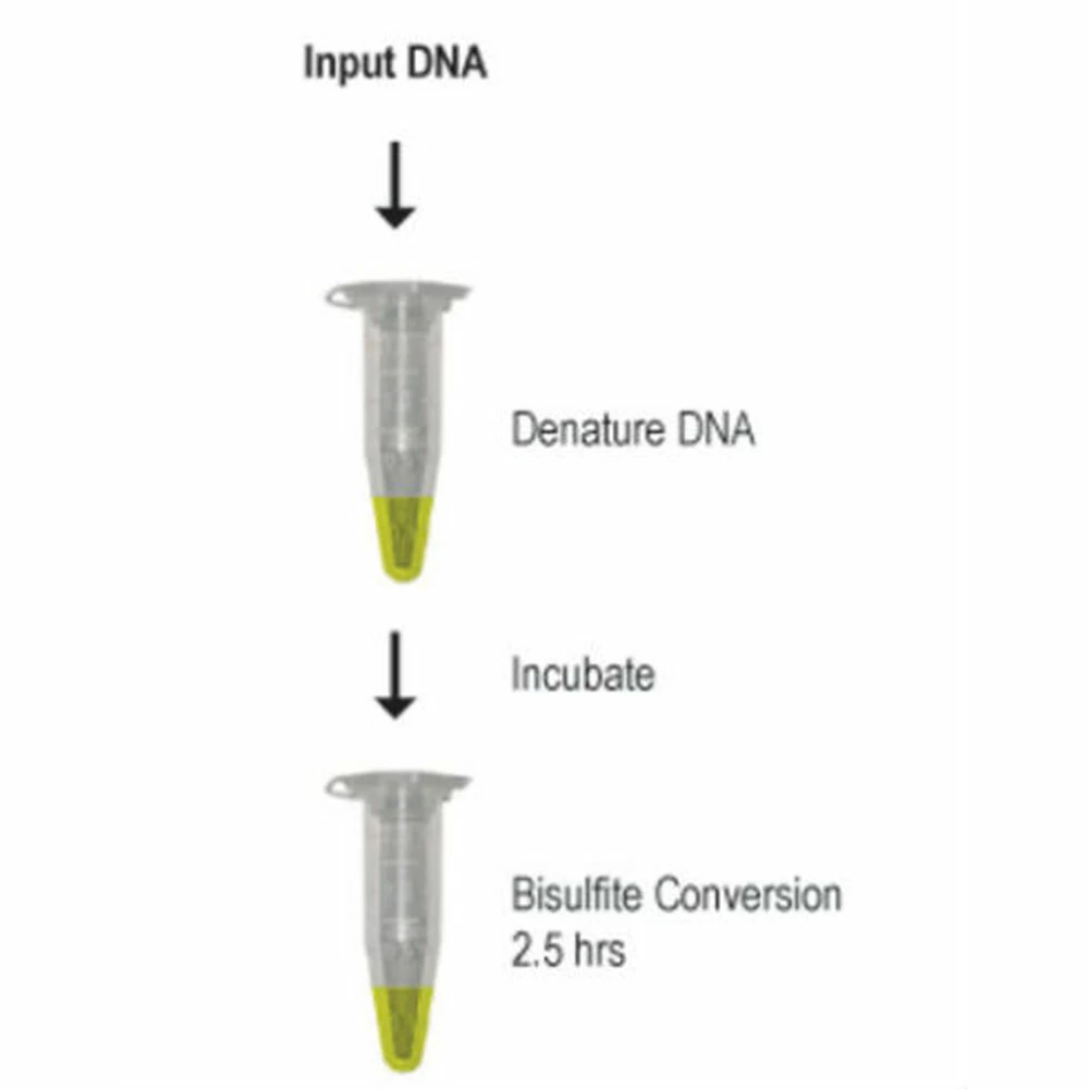 Zymo Research D5007 EZ-96 DNA Methylation-Gold Kit, Shallow-Well, 2 x 96 Rxns/Unit secondary image
