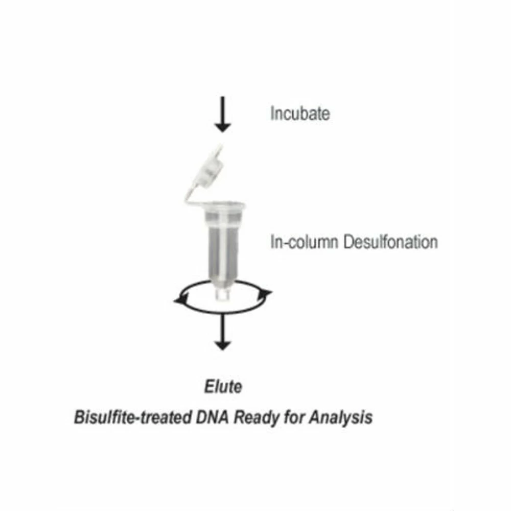 Zymo Research D5007 EZ-96 DNA Methylation-Gold Kit, Shallow-Well, 2 x 96 Rxns/Unit tertiary image
