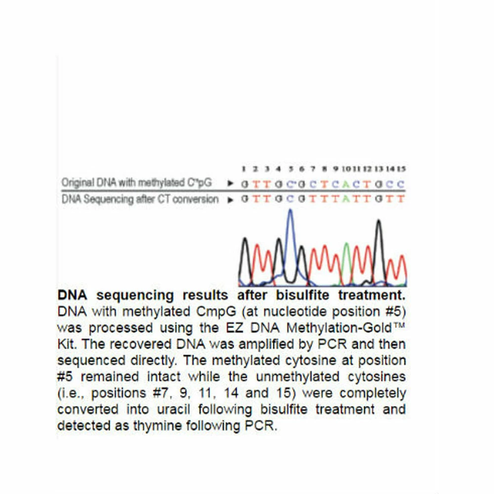 Zymo Research D5007 EZ-96 DNA Methylation-Gold Kit, Shallow-Well, 2 x 96 Rxns/Unit quaternary image