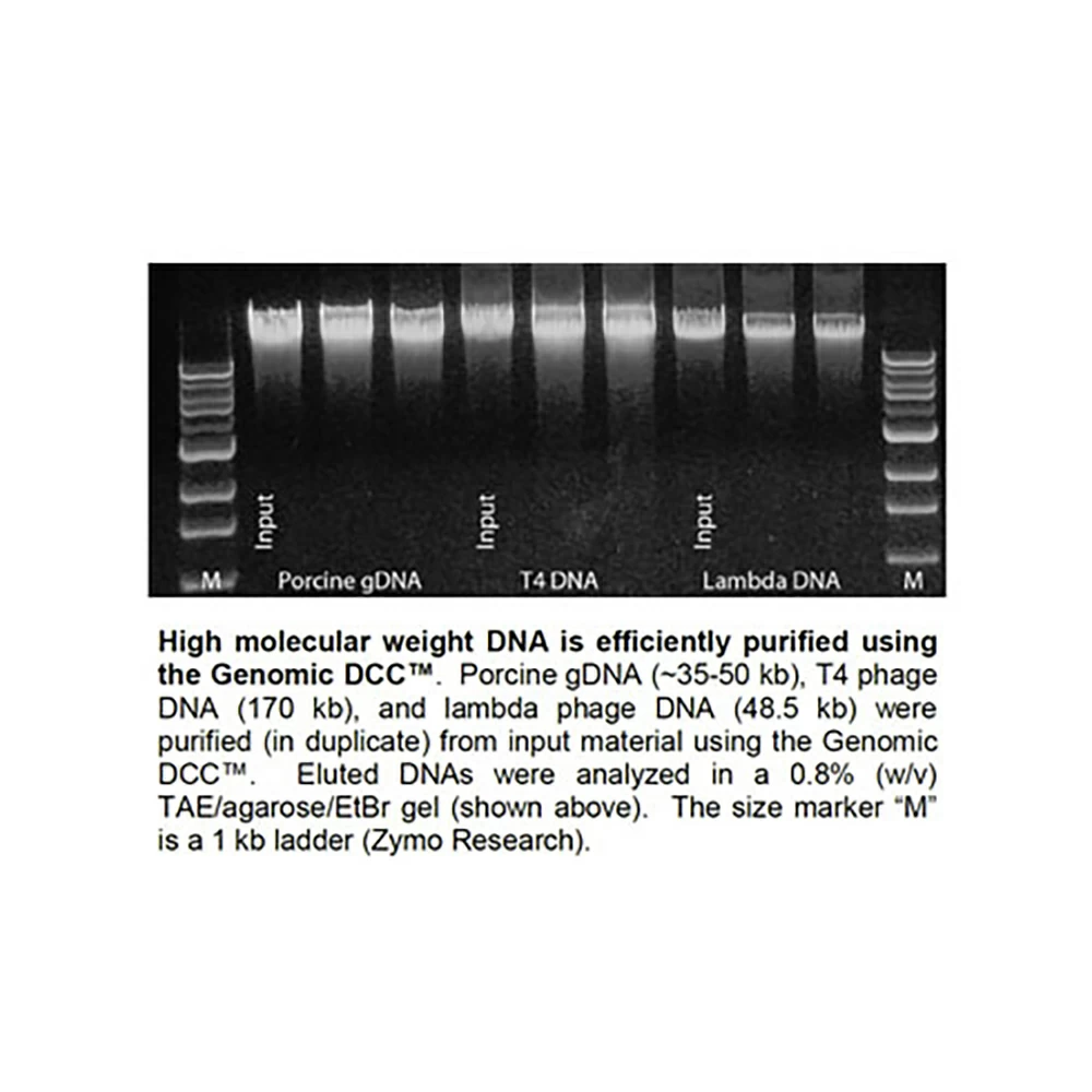 Zymo Research D4065 Genomic DNA Clean & Concentrator-25, Zymo Research Kit, 100 Preps/Unit quaternary image