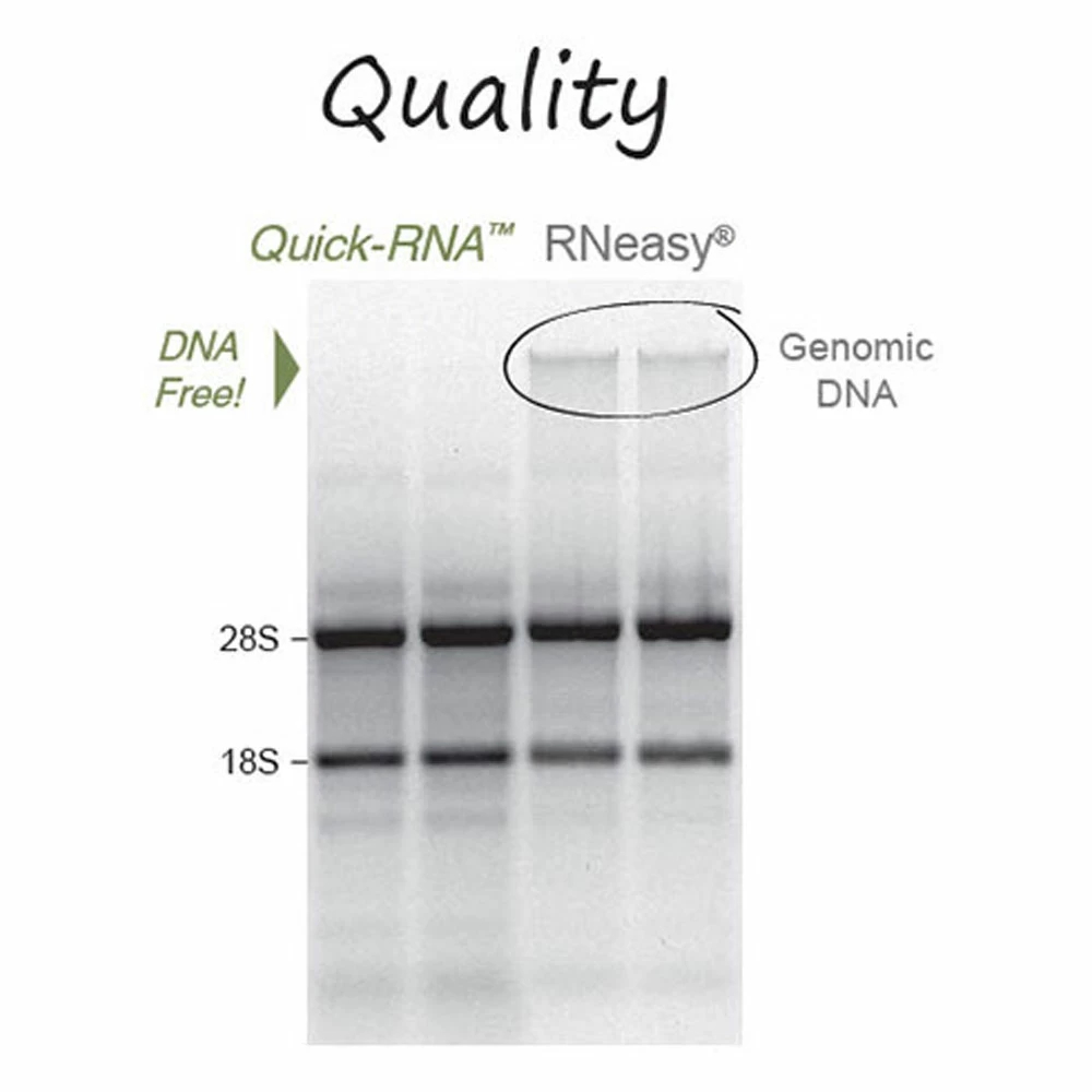 Zymo Research R1056 Quick-RNA MidiPrep Kit, Zymo Research, 25 Preps/Unit tertiary image