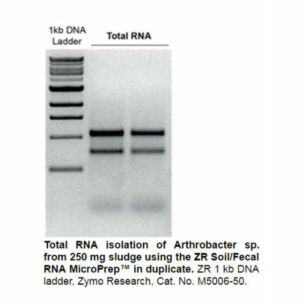 Zymo Research R2040 Quick-RNA Fecal/Soil Microbe Microprep Kit, Zymo Research, 50 Preps/Unit quaternary image