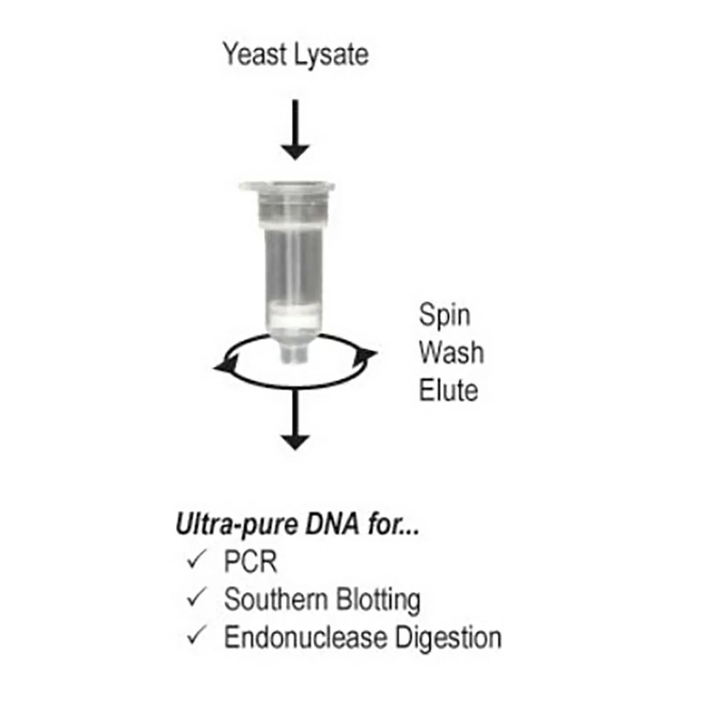 Zymo Research D2002 YeaStar Genomic DNA Kit, Zymo Research Kit, 40 Preps/Unit tertiary image