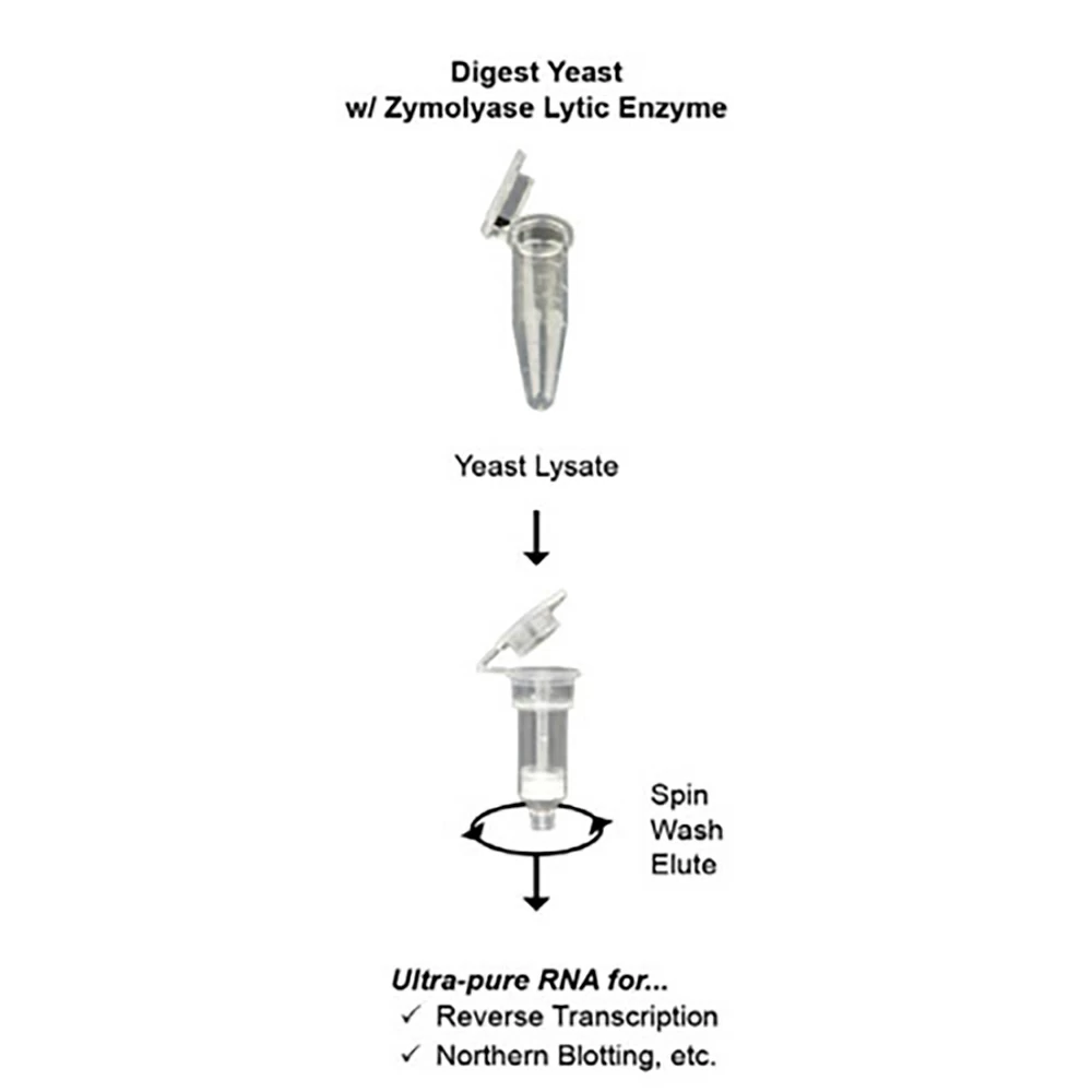 Zymo Research R1002 YeaStar RNA Kit, Zymo Research Kit, 40 Preps/Unit secondary image