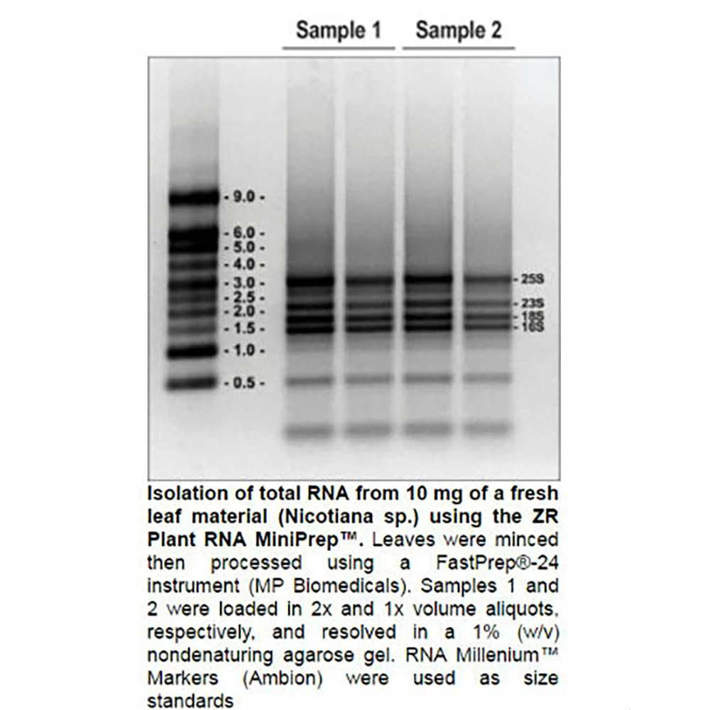 Zymo Research R2024 Quick-RNA Plant Miniprep Kit, Zymo Research, 50 Preps/Unit secondary image