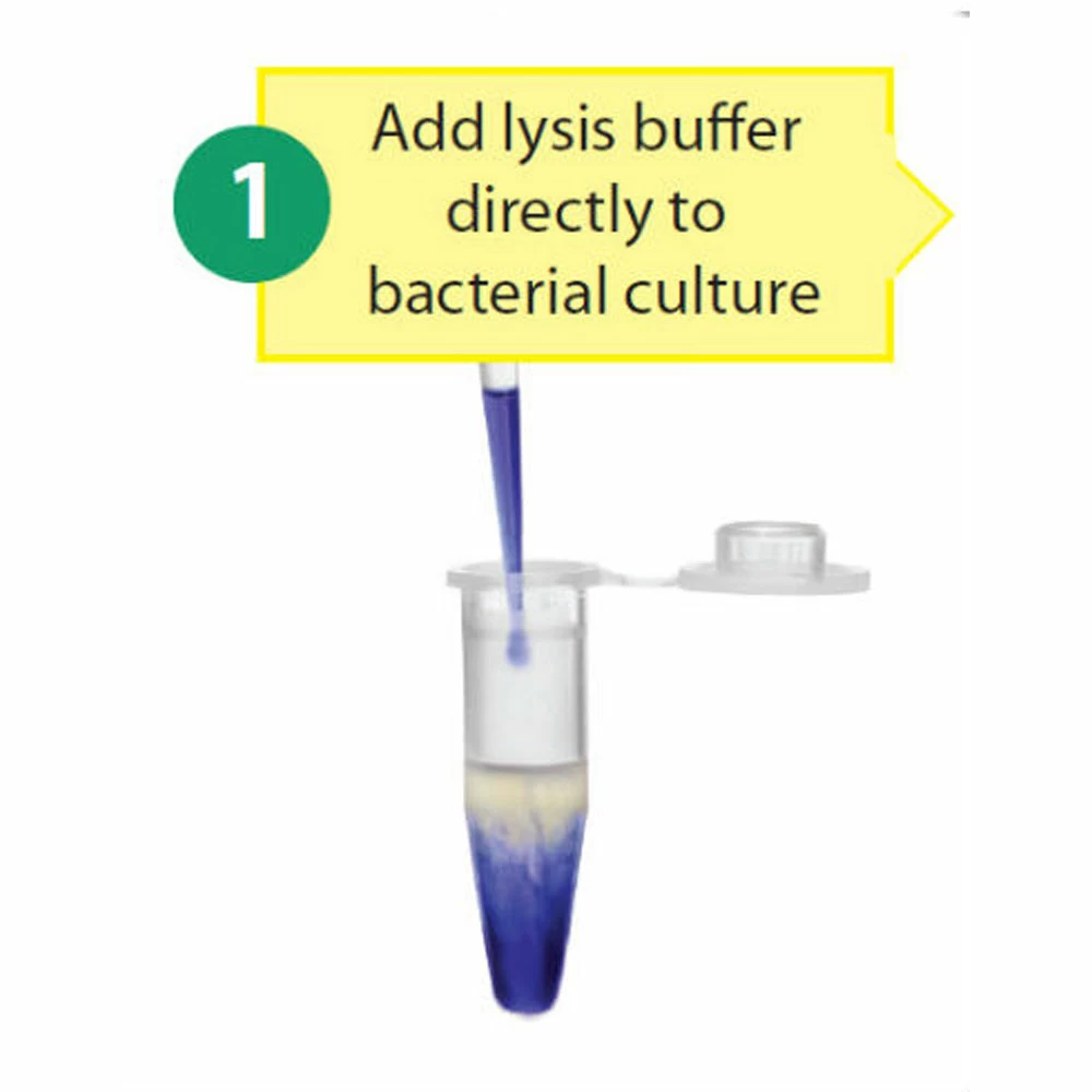 Zymo Research D4036 Zyppy Plasmid Miniprep Kit, Zymo Research, 50 Preps /Unit secondary image