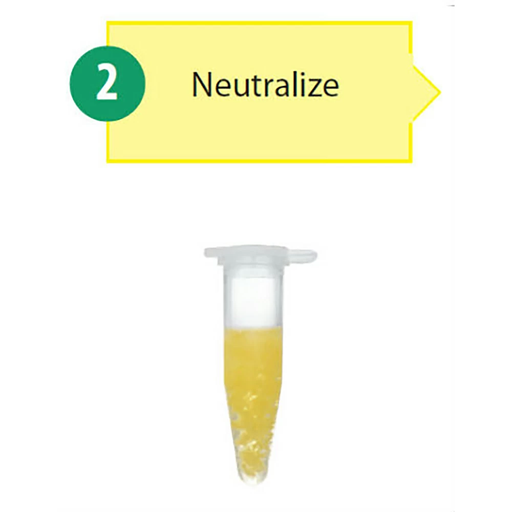 Zymo Research D4036 Zyppy Plasmid Miniprep Kit, Zymo Research, 50 Preps /Unit tertiary image