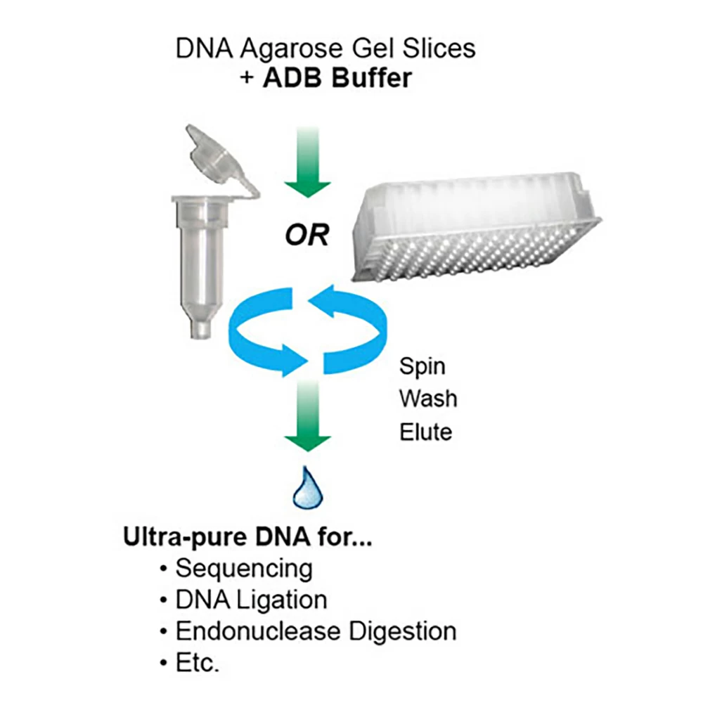 Zymo Research D4002 Zymoclean Gel DNA Recovery Kit, Uncapped columns, 200 Preps/Unit secondary image