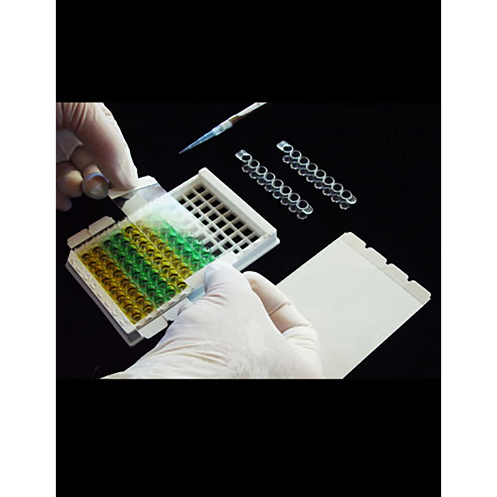 Excel Scientific SPS-2X8-50, SealPlate MiniStrips Sealing Film, Sterile Sterile, 200 Films/Unit secondary image