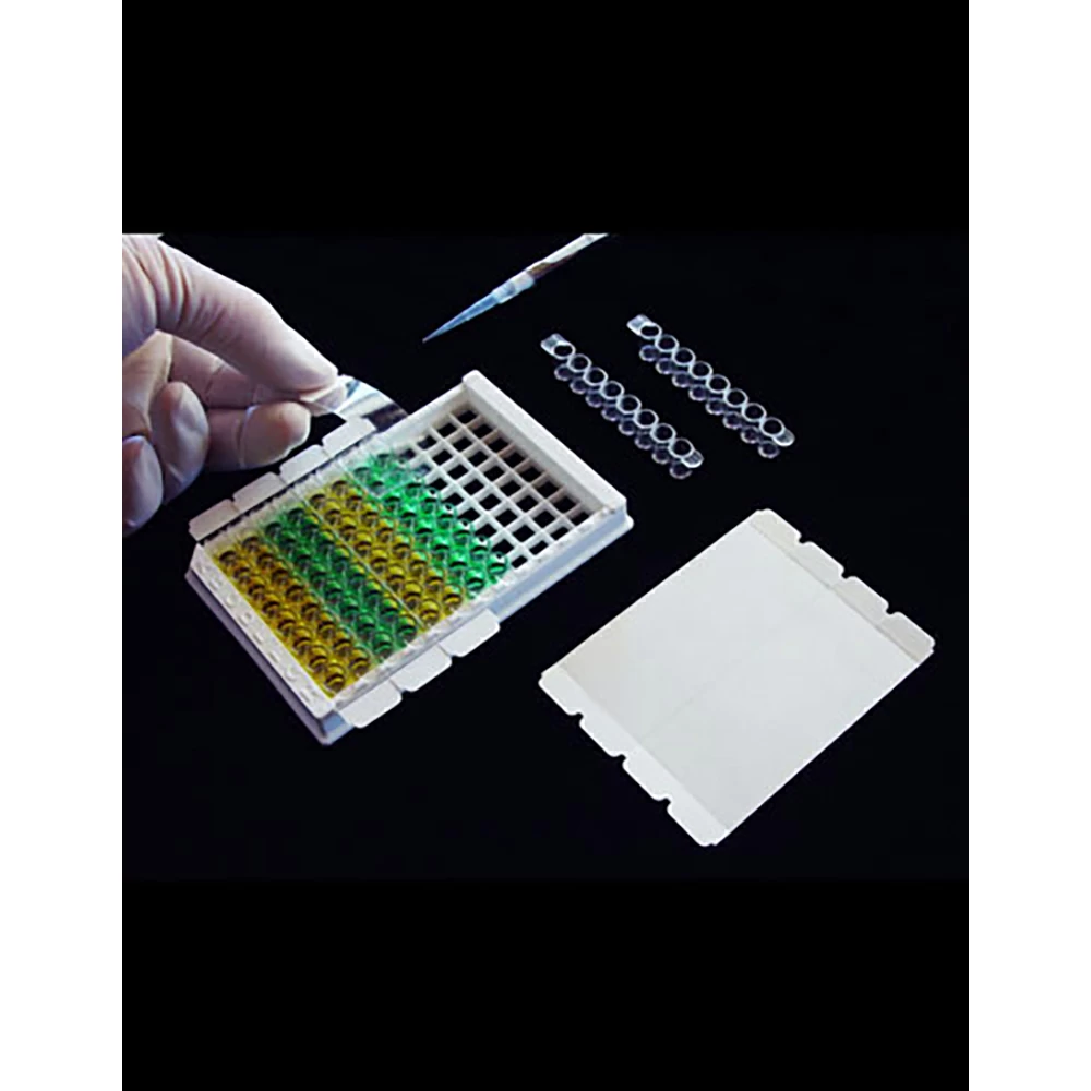 Excel Scientific SPS-2X8-50, SealPlate MiniStrips Sealing Film, Sterile Sterile, 200 Films/Unit primary image