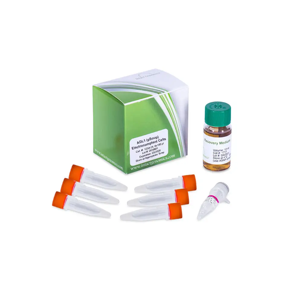 Intact Genomics 1283PS-12 AGL1 (pSoup), Electrocompetent Agrobacterium, 6 x 50