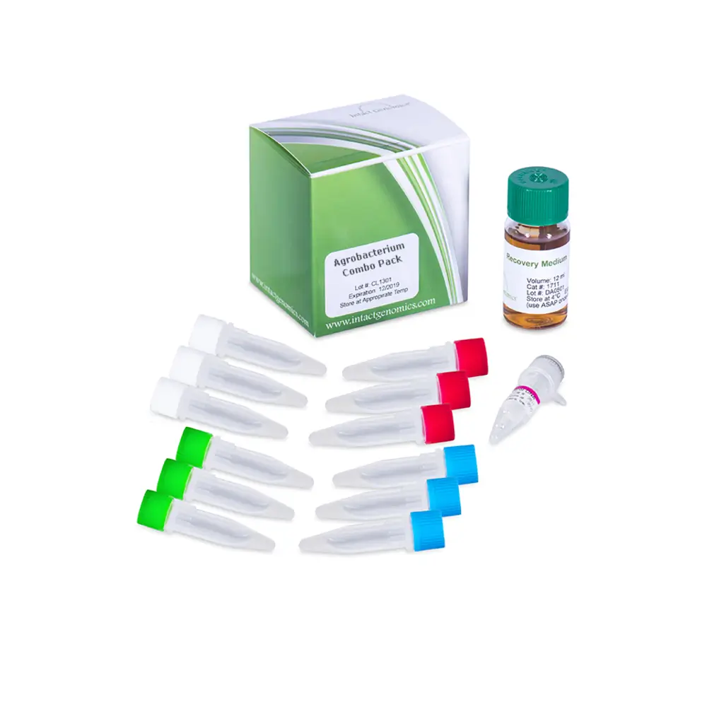 Intact Genomics 1290-24 Combo Pack, Electrocompetent Agrobacterium, 1 Combo/Unit Primary Image