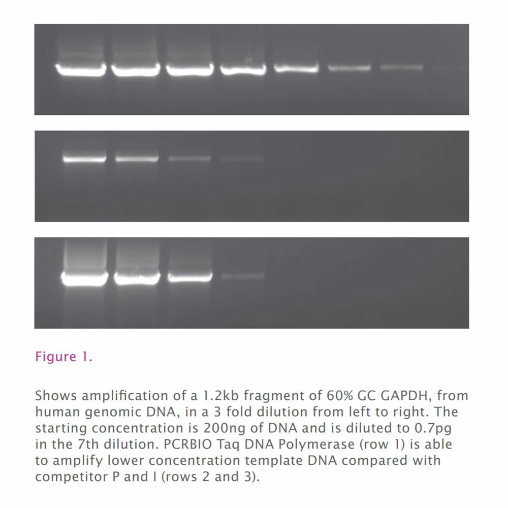 PCR Biosystems PB10.12-10 PCRBIO Taq Mix, Clear, 5 x 1ml Taq Mix, 200 Reactions/Unit secondary image