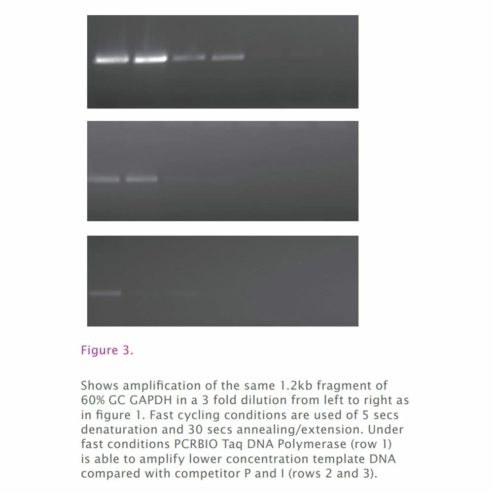 PCR Biosystems PB10.12-10 PCRBIO Taq Mix, Clear, 5 x 1ml Taq Mix, 200 Reactions/Unit quaternary image