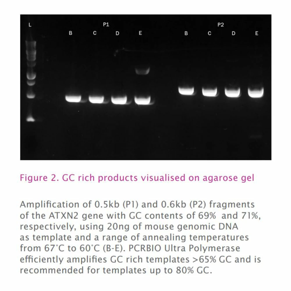 PCR Biosystems PB10.32-05 PCRBIO Ultra Mix, Clear, 2 x 1ml Ultra Mix, 80 Reactions/Unit tertiary image