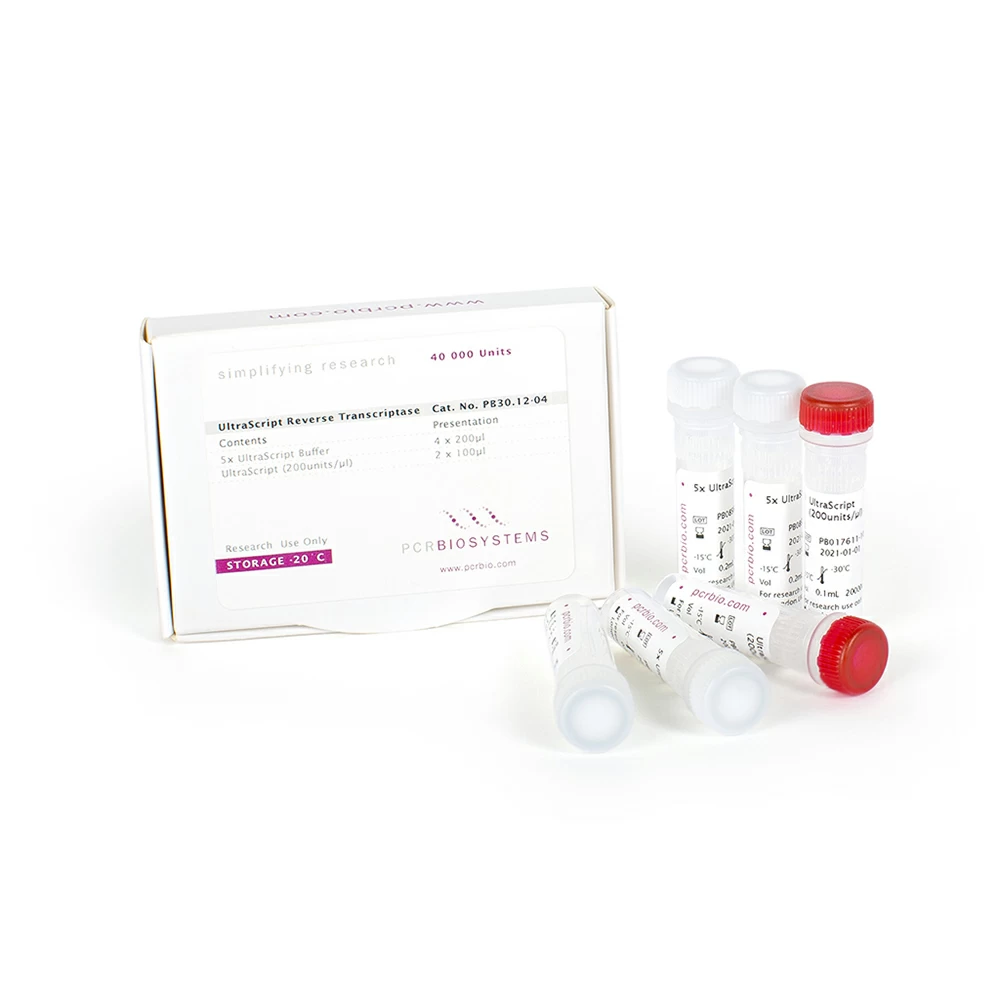 MMLV High Performance Reverse Transcriptase Kit