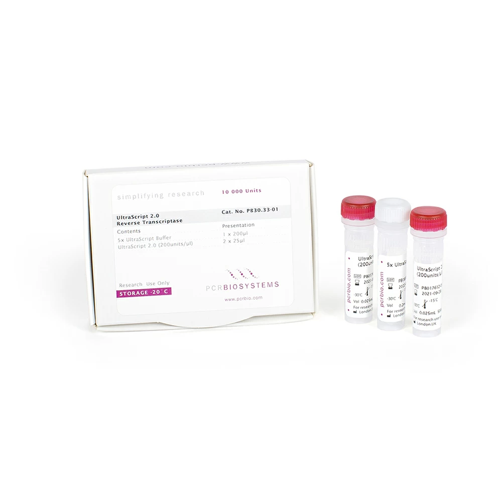 Invitrogen™ M-MLV Reverse Transcriptase (200 U/µL)