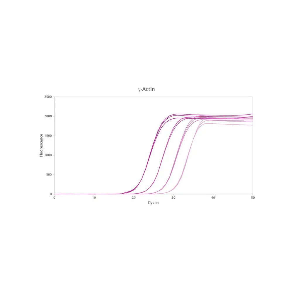 PCR Biosystems PB20.72-50 Clara