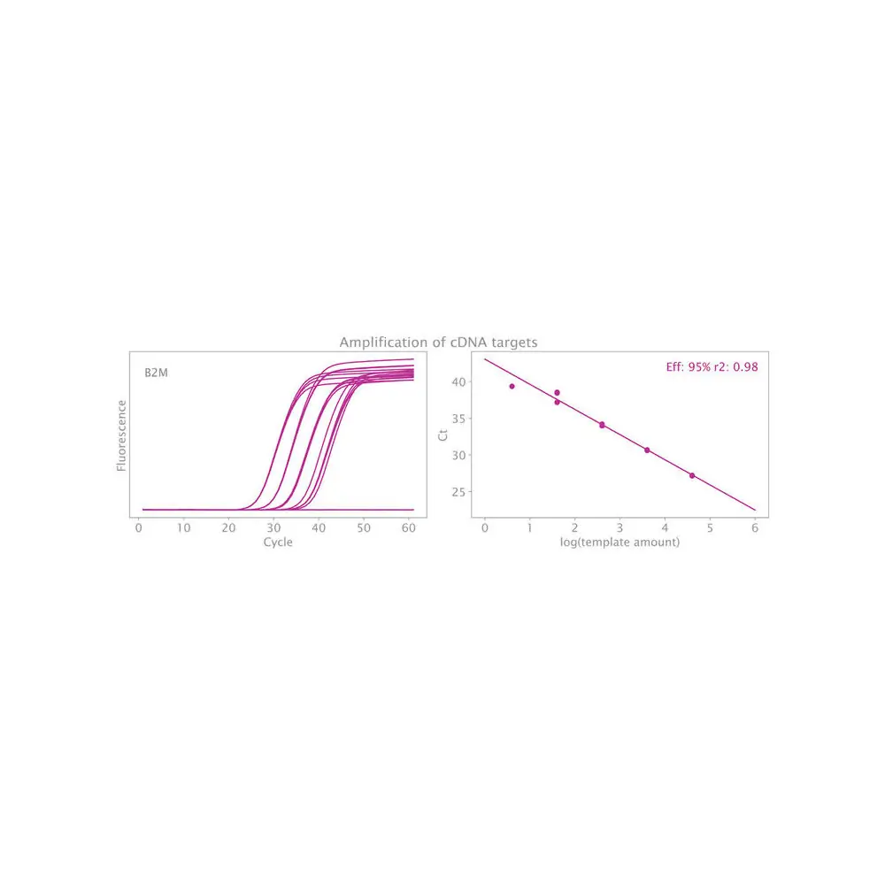 PCR Biosystems PB25.89-05 Clara