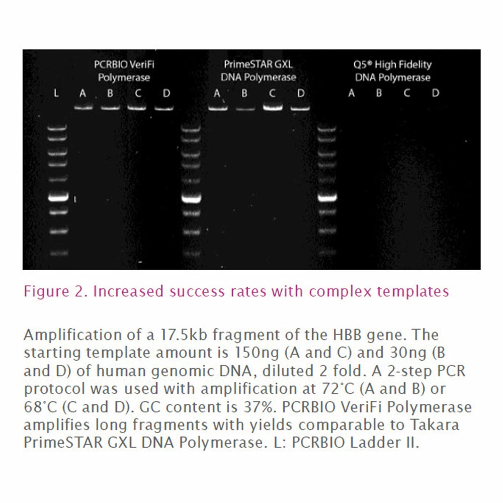 PCR Biosystems PB10.42-01 PCRBIO VeriFi