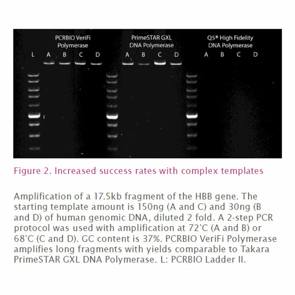 PCR Biosystems PB10.43-01 PCRBIO VeriFi