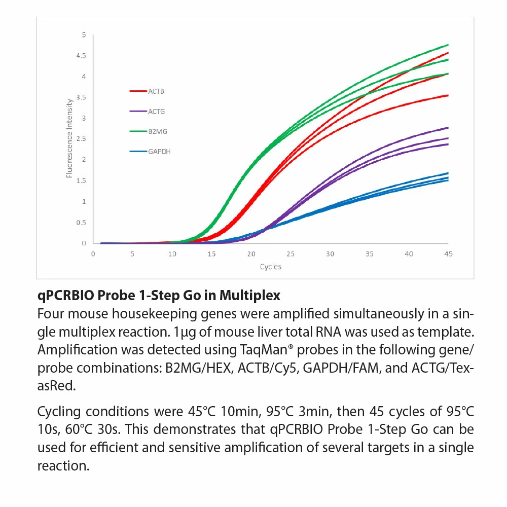 PCR Biosystems PB25.43-05 qPCRBIO Probe 1-Step Go No-ROX, 1 x 5ml Mix & 1 x 500ul RTase, 500 x 20ul Rxns/Unit secondary image