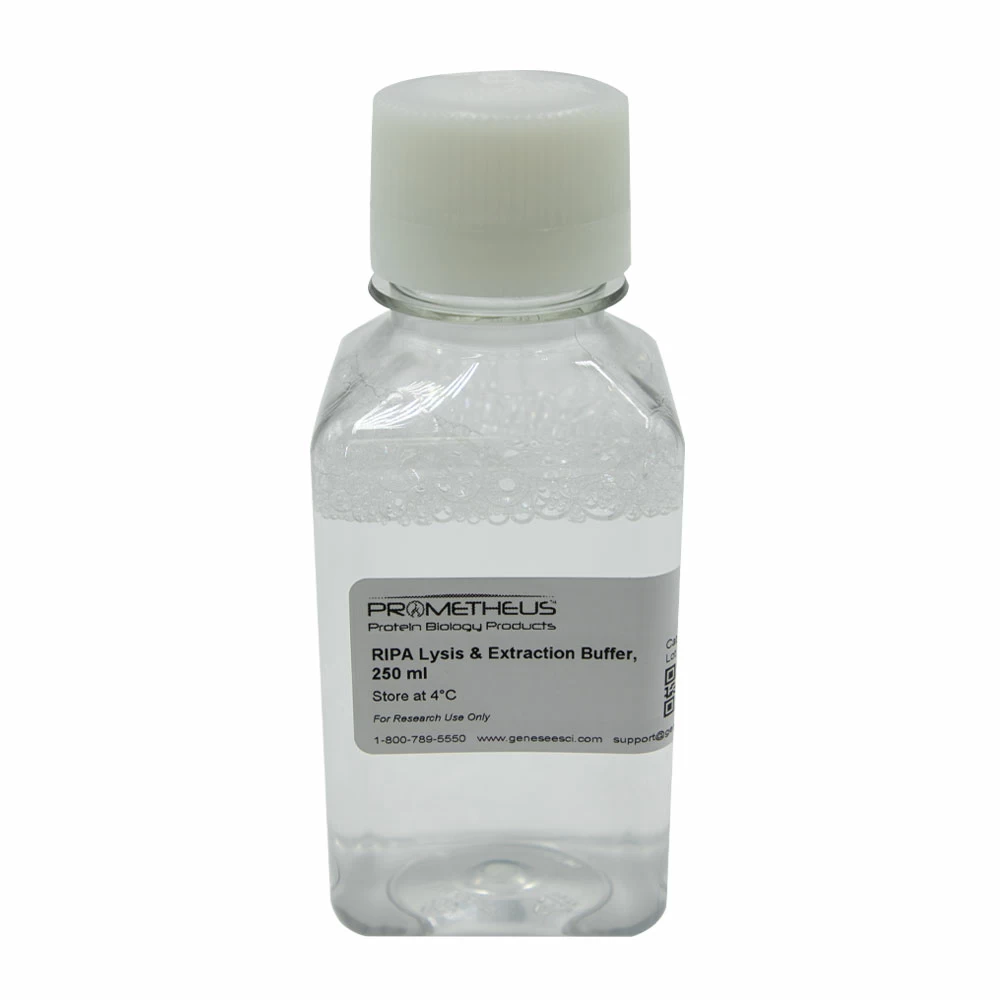 Prometheus Protein Biology Products 18-417 RIPA Lysis & Extraction Buffer, For lysis and protein solubili, 500 mL/Unit primary image