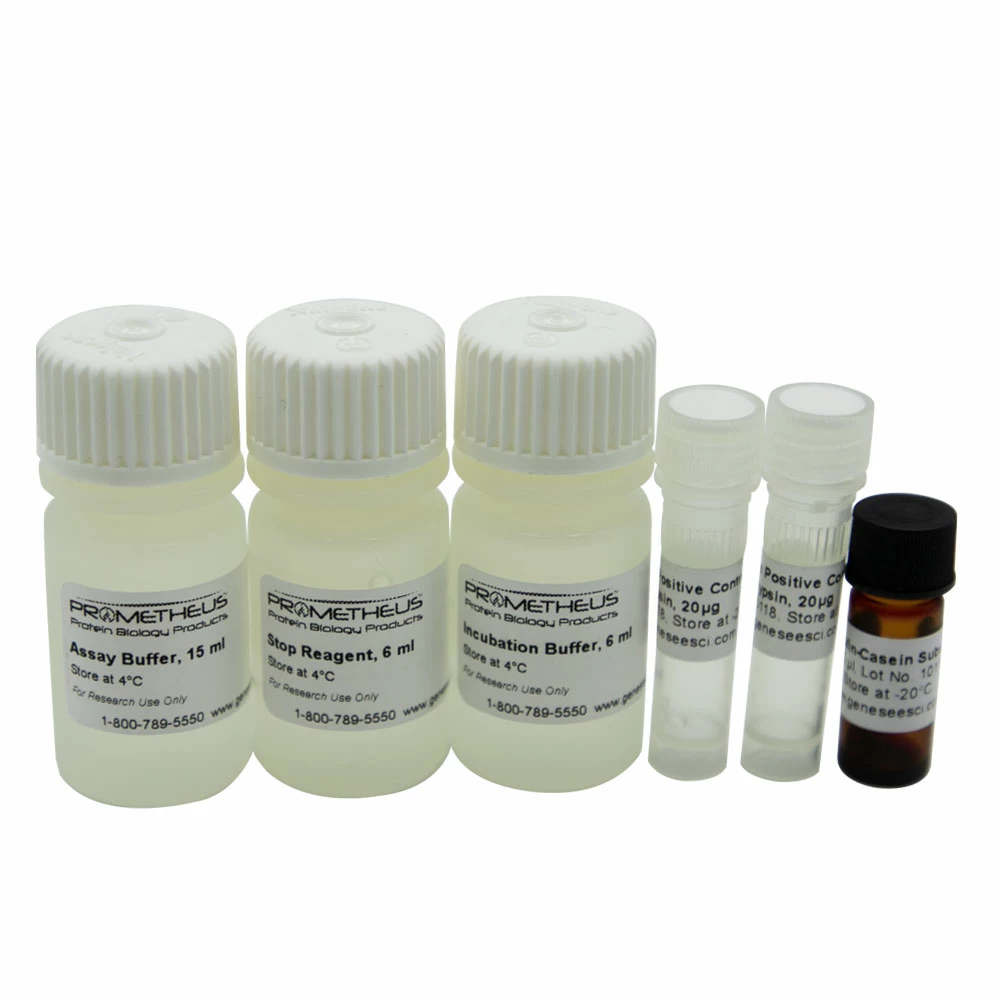 Prometheus Protein Biology Products 18-439 Protease Assay Kit, Assay of General Proteases, 50 Assays/Unit primary image